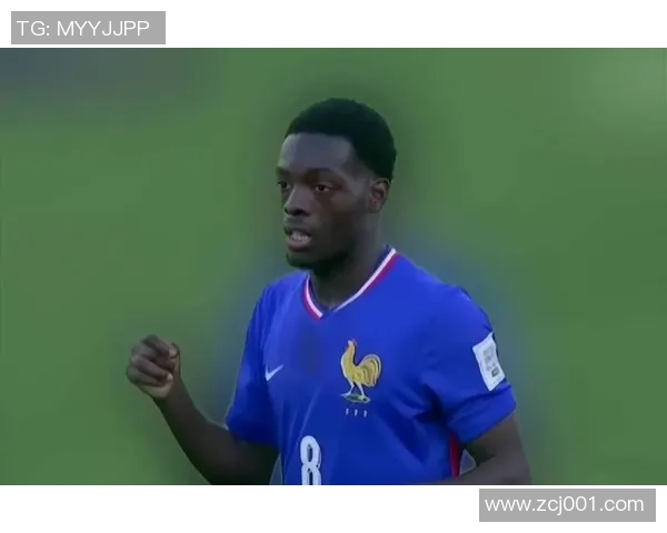 2010年世界杯法国对南非精彩全场回顾与赛后分析