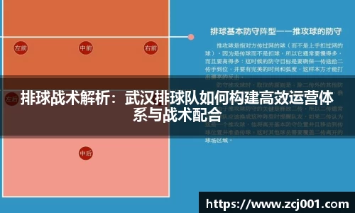 排球战术解析：武汉排球队如何构建高效运营体系与战术配合